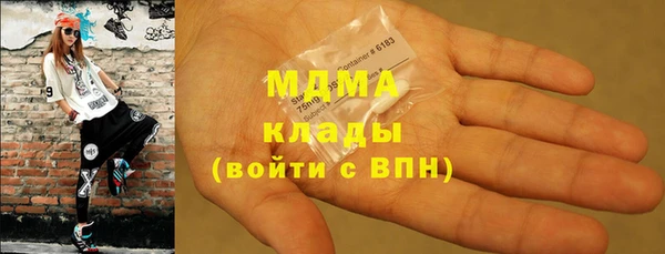 прущие грибы Дмитровск