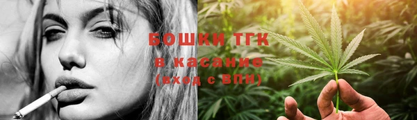 прущие грибы Дмитровск