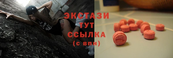прущие грибы Дмитровск