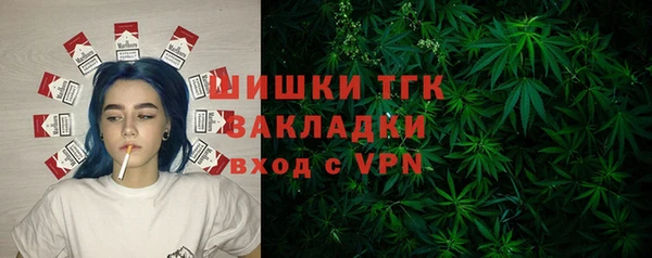 прущие грибы Дмитровск