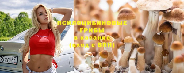 Альфа ПВП Дмитриев