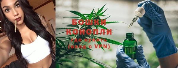 прущие грибы Дмитровск